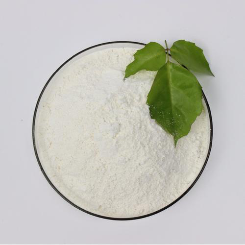 Garlic extract,Allicin Garlic extract,Allicin