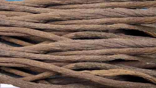 dried Burdock Root dried Burdock Root