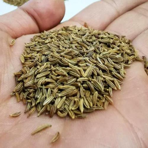 dehydrated caraway dehydrated caraway