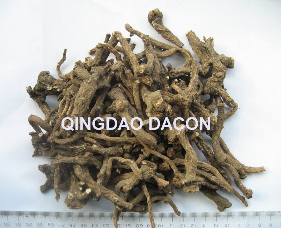 Dandelion root