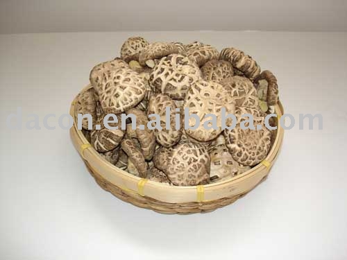 dried shiitake 