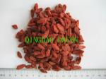 Goji Berry