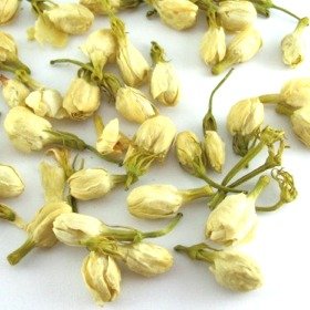 Jasmine buds Jasmine buds