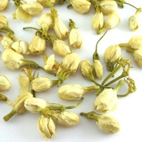 Jasmine buds