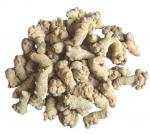 Notoginseng root (Sanqi)