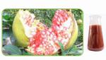 Pomegranate seed oil Pomegranate seed oil