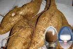 Kudzu Root Extract,Pueraria extract,radix glehniae extract