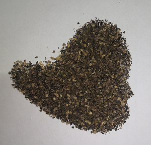 dried Jambolan, Syzygium cumini Dry fruit dried Jambolan, Syzygium cumini Dry fruit