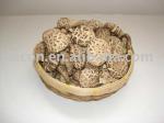  Shiitake mushroom extract