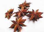 Star Anise Fruit