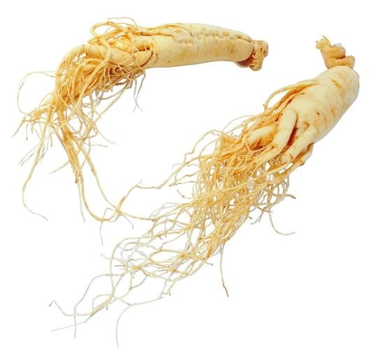 White Ginseng root