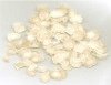 White ginseng slice White ginseng slice