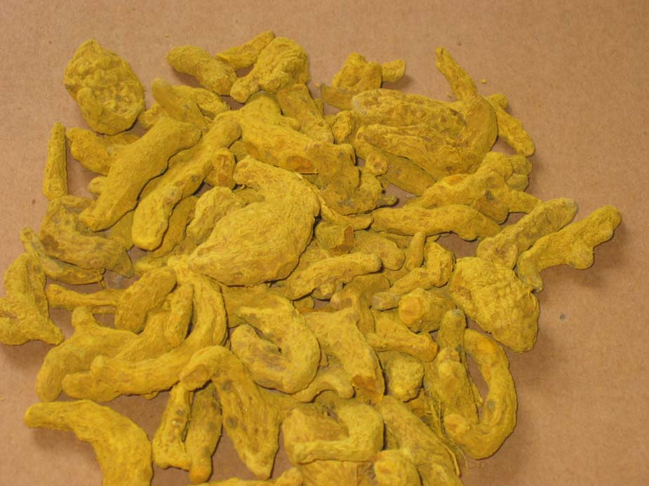 Curcuma Extract Curcuma Extract