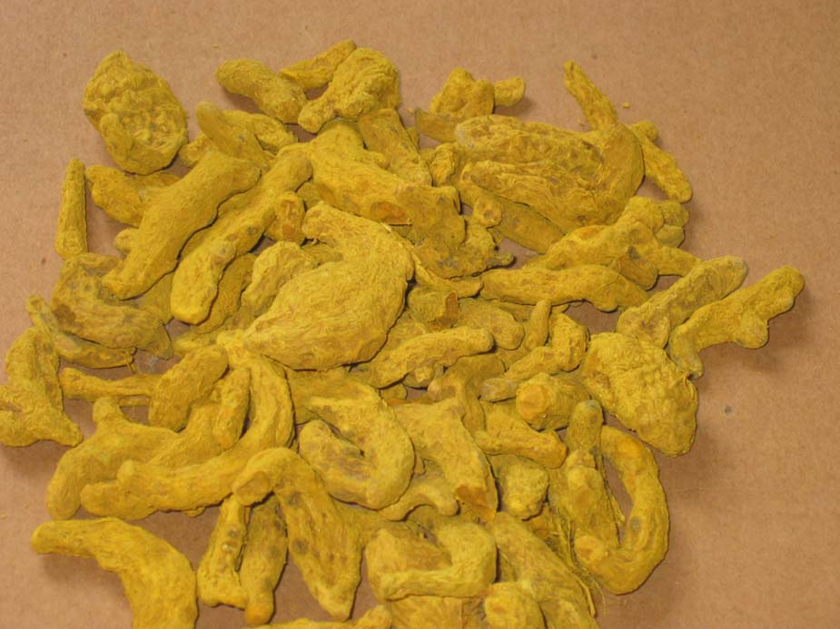 Curcuma Extract