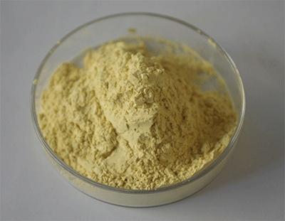 lichen usnea extract lichen usnea extract