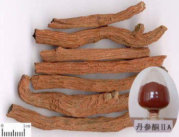 Salvia root extract