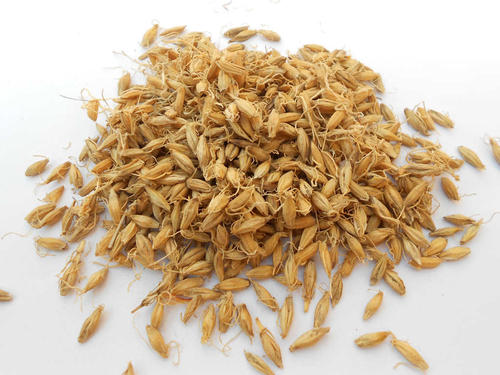 barley malt extract Hordenine 98% barley malt extract Hordenine 98%