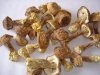Agaricus blazei murill Agaricus blazei murill