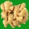 Ginger extract Ginger extract