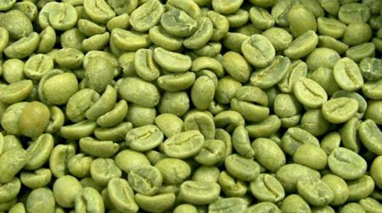 green coffee bean extract