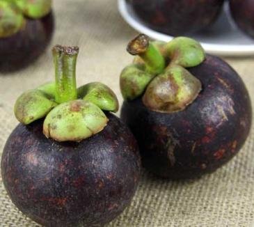 dried mangosteen hull