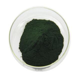 Fucus extract  Fucus vesiculosus L.