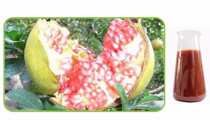 pomegranate juice concentrate pomegranate juice concentrate