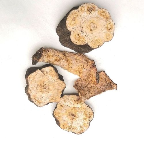Fleeceflower root extract,Radix Polygoni Multiflori pe Fleeceflower root extract,Radix Polygoni Multiflori pe