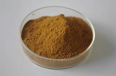 Canarium album raeusch extract